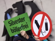 Fuegos artificiales y animales aterrados: el debate que divide a Alemania en Año Nuevo