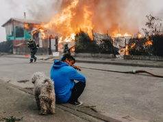 Chile frente al fuego: causas, responsabilidades y dudas tras los incendios en Biobío