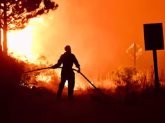 ¿Invasión de judíos por incendios en la Patagonia? Revive esta teoría antisemita en 2026