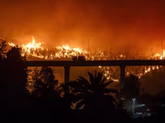 Incendios sin control en Chile: hay al menos 18 muertos y 50.000 evacuados