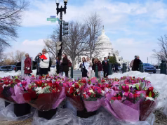 La Embajada de Colombia repartió flores en el Congreso de EE. UU. por San Valentín