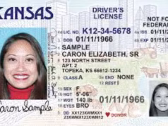 Ojo, migrantes: proyecto de ley en EE. UU. busca exponer estatus migratorio en licencias