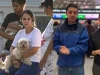 Campaña ‘Una garra por Venezuela’ logra recaudar 15 toneladas de comida para perritos y gatos con apoyo de Laika y Avianca