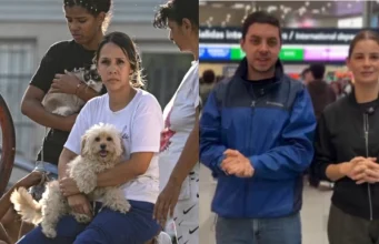 Campaña ‘Una garra por Venezuela’ logra recaudar 15 toneladas de comida para perritos y gatos con apoyo de Laika y Avianca